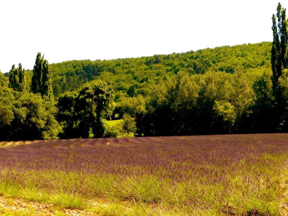 La Fontaine De Rocoule Hotel Rochefort-en-Valdaine Kültér fotó